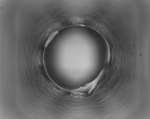 X0000067910604200604131345