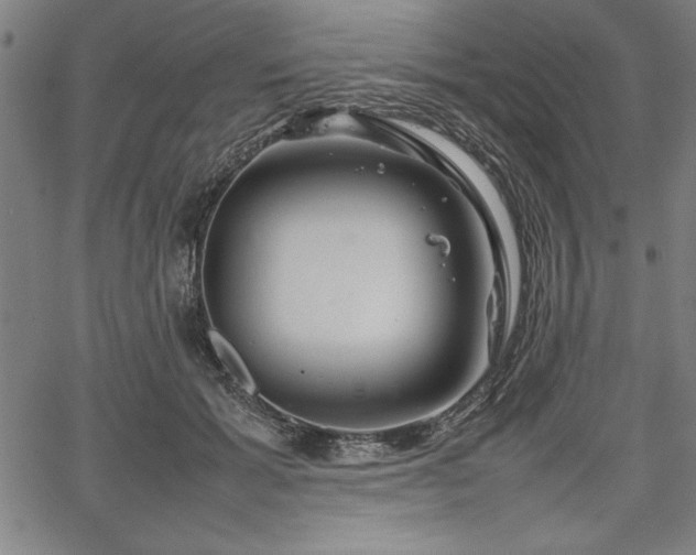 X0000067910605200604131345