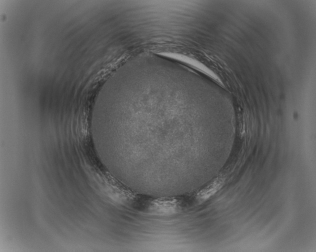 X0000067910606200604131345