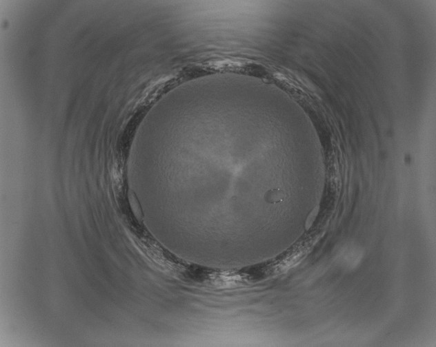 X0000067910607200604131345