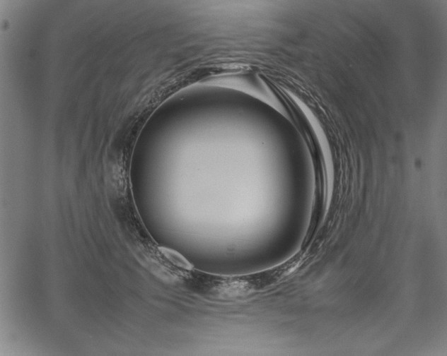 X0000067910609200604131345