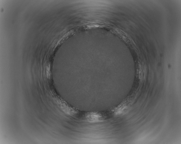 X0000067910610200604131345