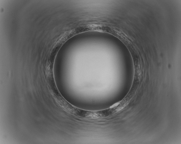 X0000067910611200604131345