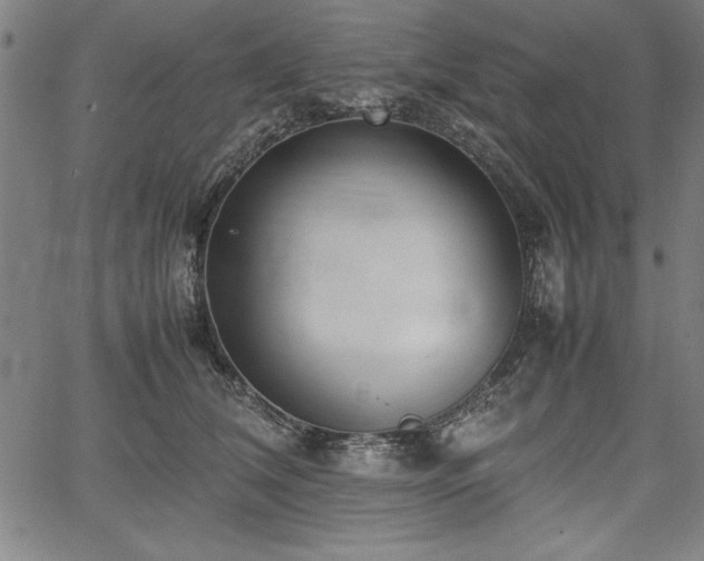 X0000067910612200604131345