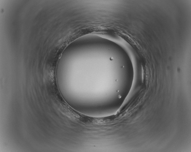 X0000067910613200604131345