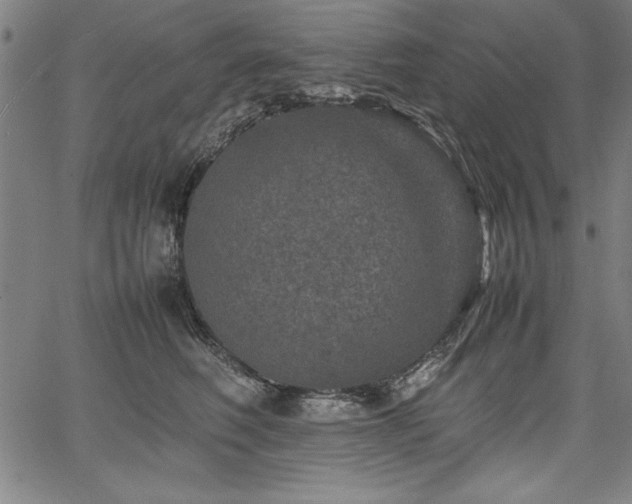 X0000067910614200604131345