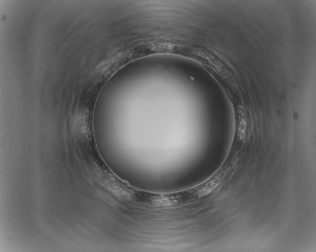 X0000067910616200604131345