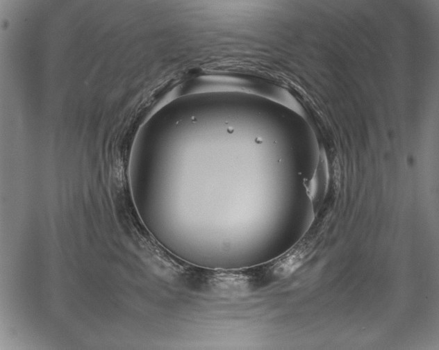 X0000067910617200604131345