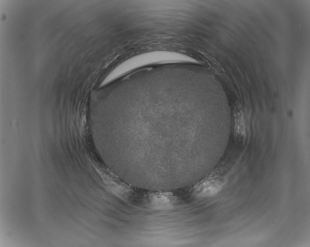 X0000067910618200604131345