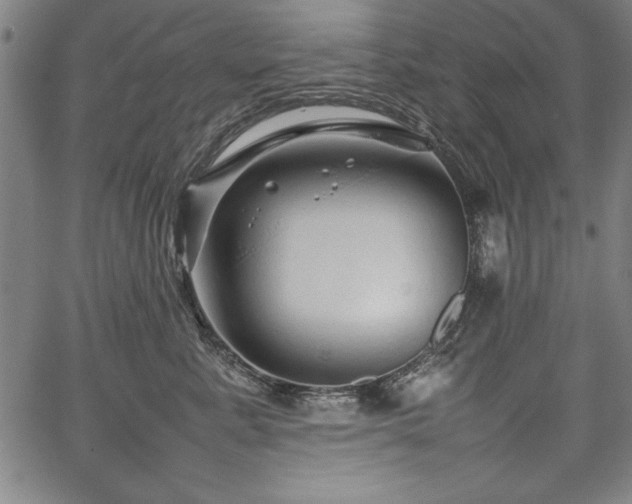 X0000067910619200604131345