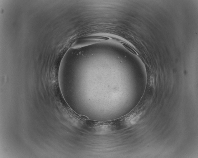 X0000067910620200604131345