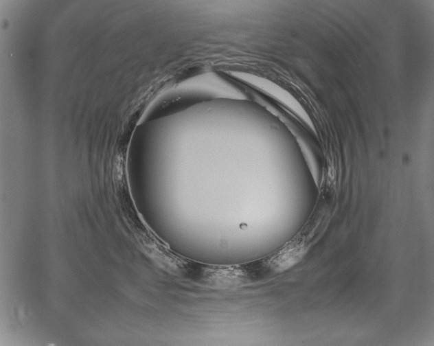 X0000067910621200604131345