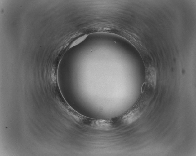 X0000067910622200604131345