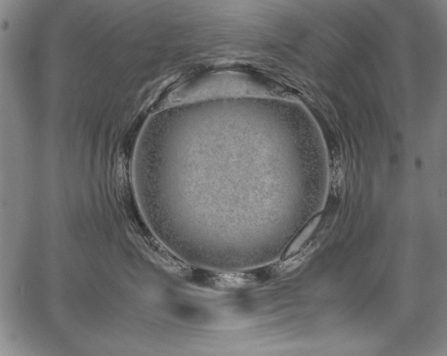 X0000067910623200604131345