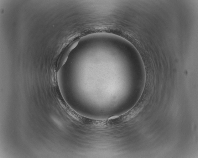 X0000067910624200604131345