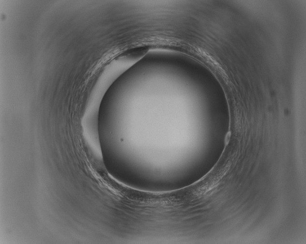 X0000067910625200604131344