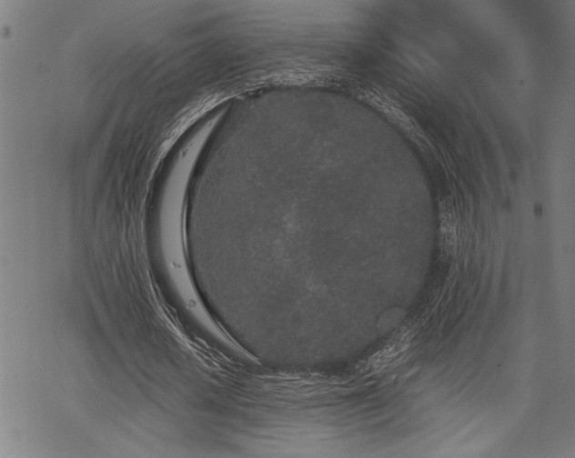 X0000067910626200604131344