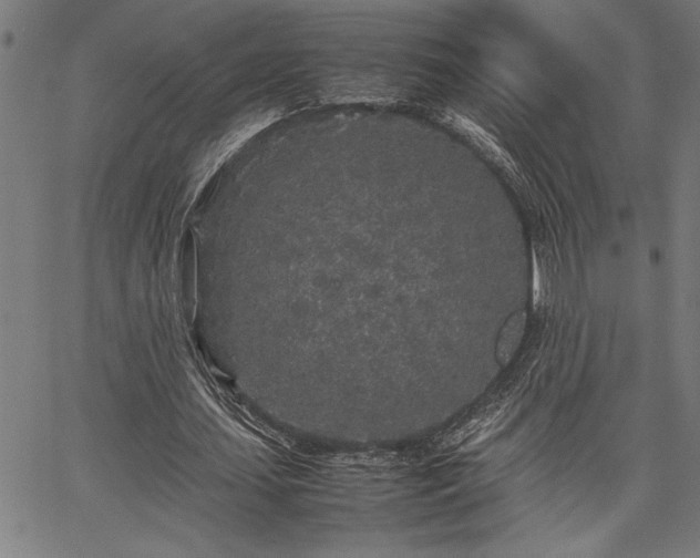 X0000067910627200604131344