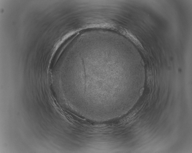 X0000067910628200604131344