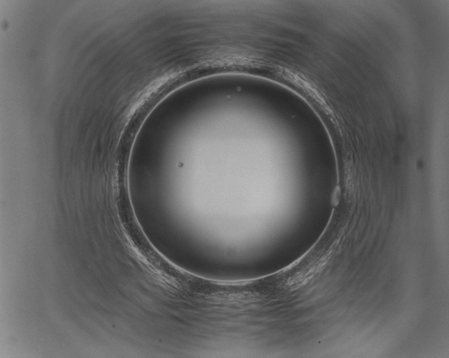 X0000067910629200604131344