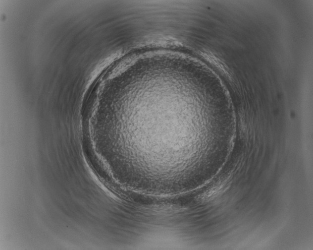 X0000067910630200604131344