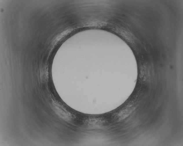 X0000067910632200604131344