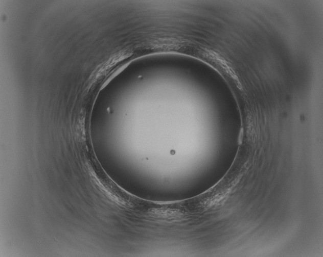 X0000067910633200604131344