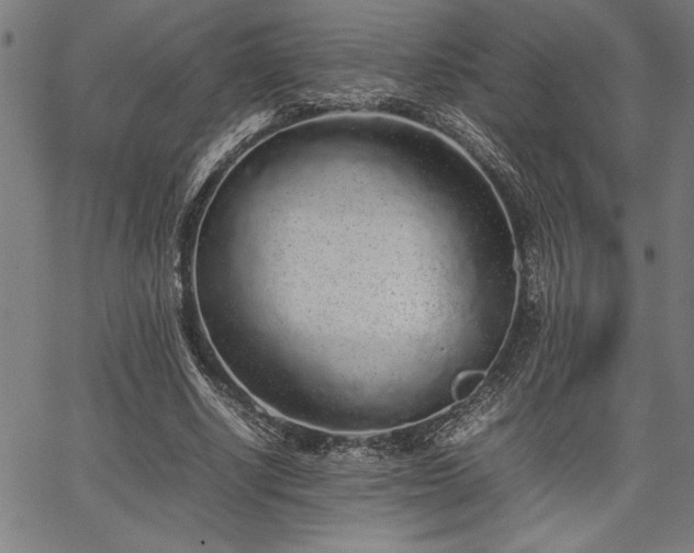 X0000067910634200604131344