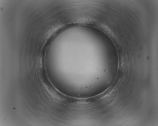 X0000067910636200604131344