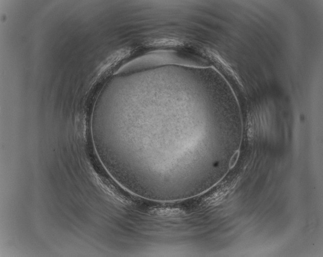 X0000067910637200604131344