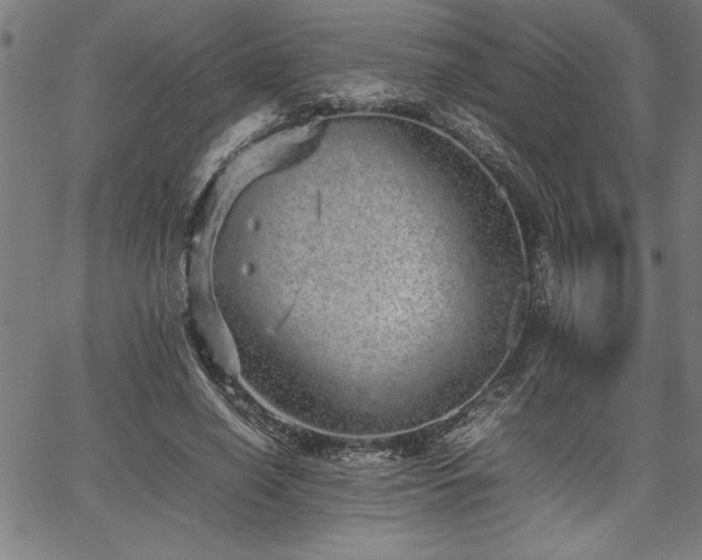 X0000067910638200604131344