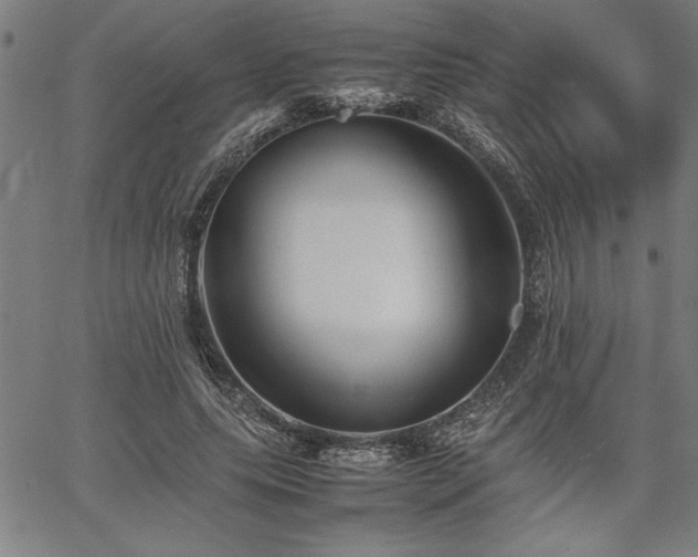 X0000067910639200604131344