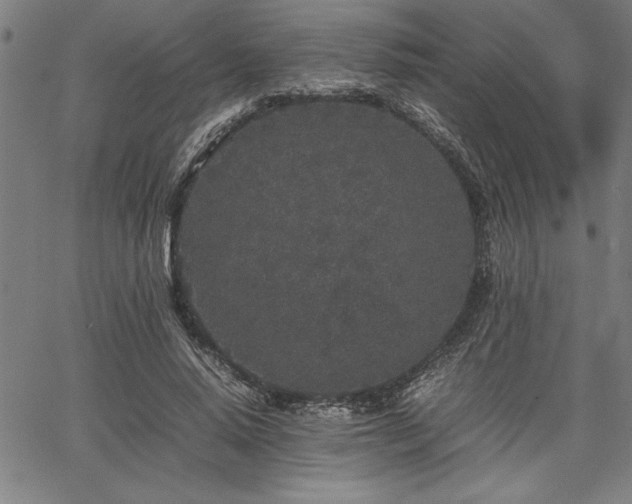 X0000067910640200604131344