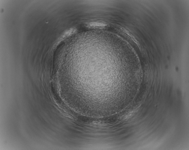 X0000067910641200604131344