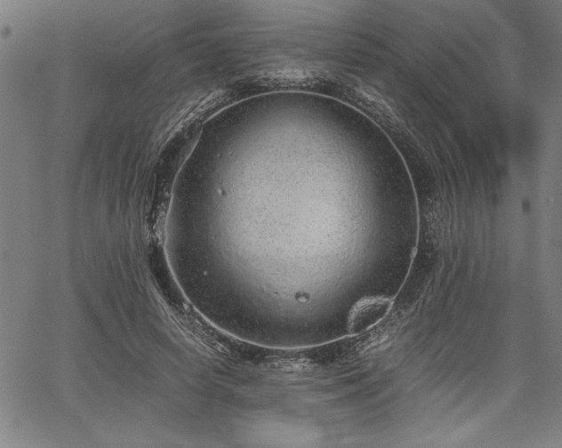 X0000067910642200604131344