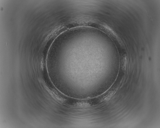 X0000067910644200604131344