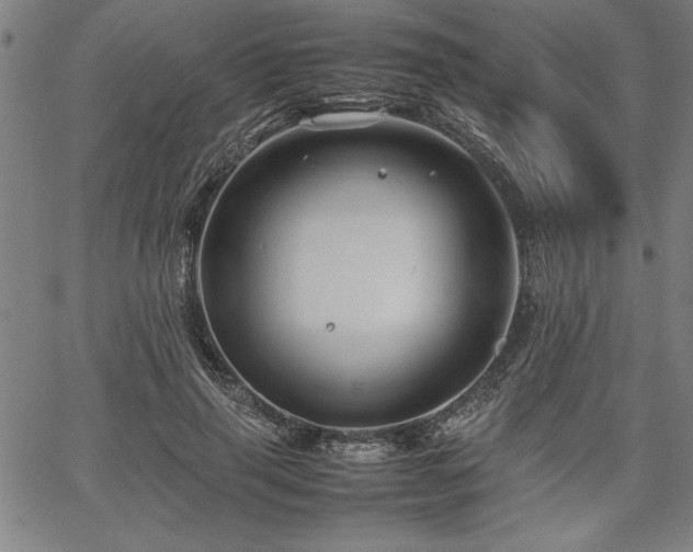 X0000067910645200604131344