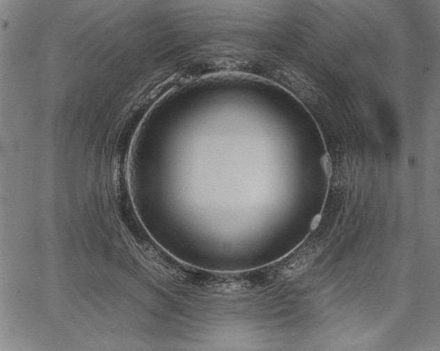 X0000067910646200604131344