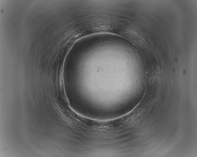 X0000067910647200604131344