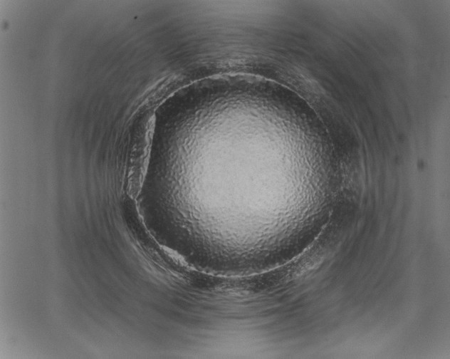 X0000067910648200604131344