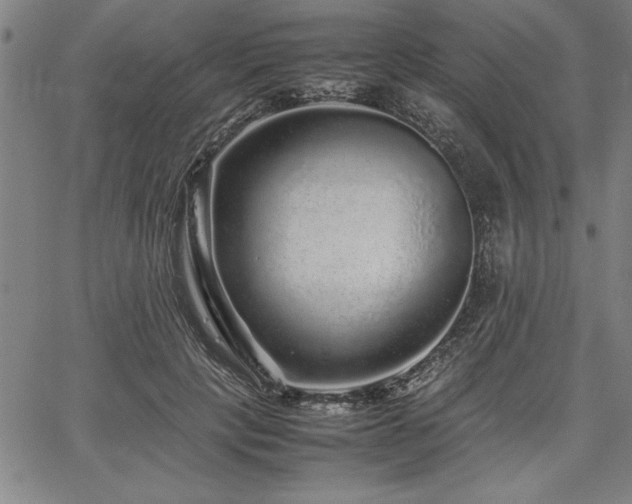 X0000067910649200604131344