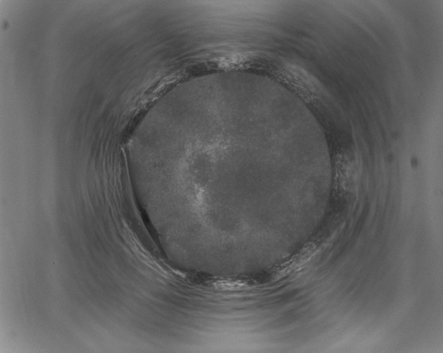 X0000067910650200604131344