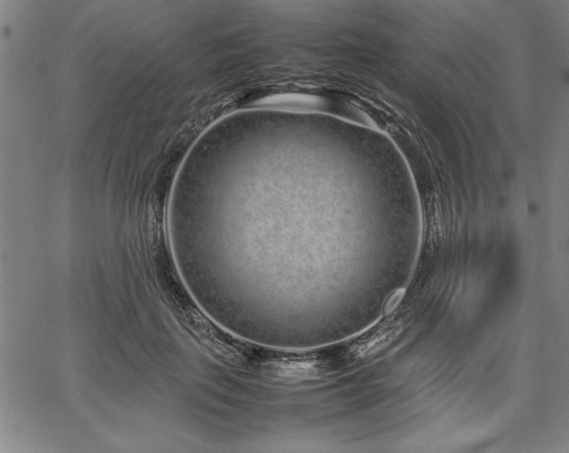 X0000067910651200604131344