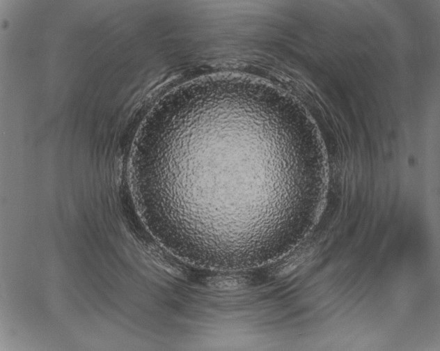 X0000067910652200604131344