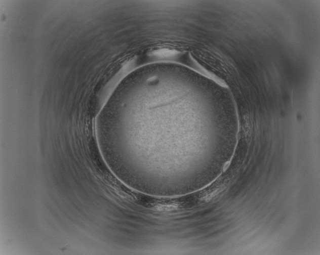 X0000067910653200604131344