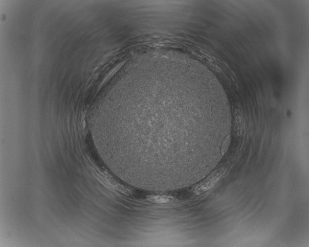 X0000067910654200604131344