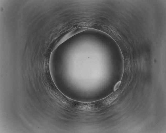 X0000067910655200604131344