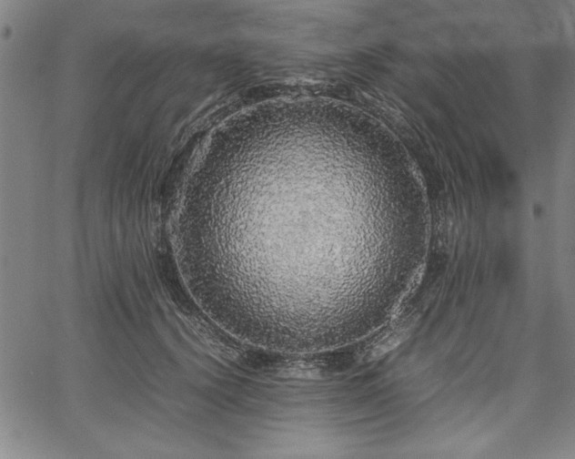 X0000067910656200604131344