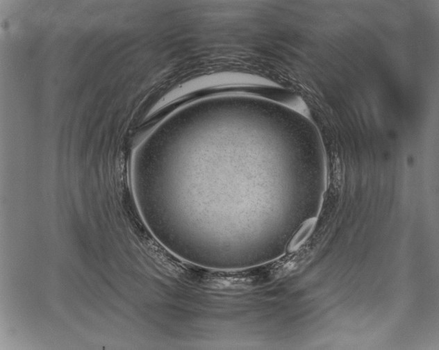 X0000067910657200604131344