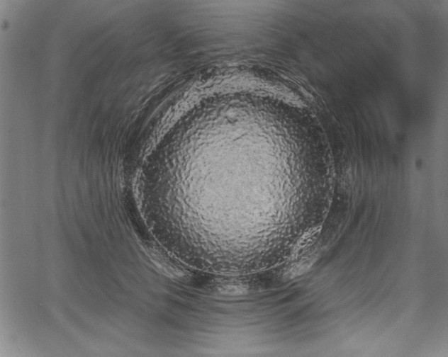 X0000067910658200604131345